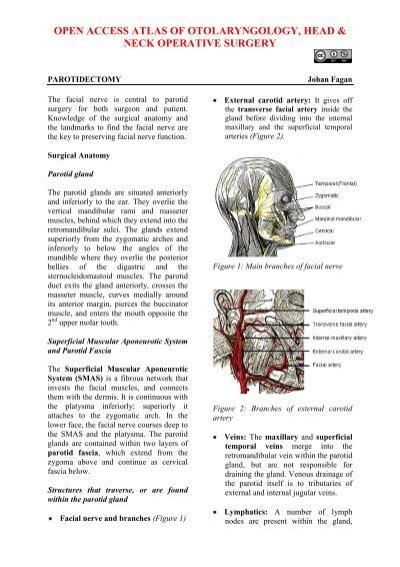 vula total laryngectomy|OPEN ACCESS ATLAS OF OTOLARYNGOLOGY, HEAD & NECK OPERATI.